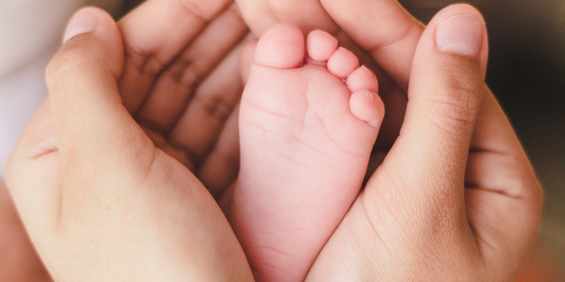 Salud Neonatal y árboles cómo la plantación de árboles mejora el peso al nacer zoèpure