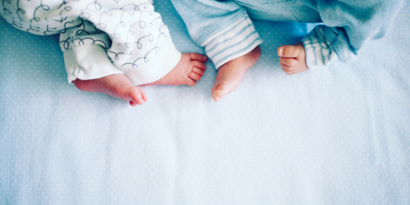 Salud Neonatal y árboles cómo la plantación de árboles mejora el peso al nacer zoèpure