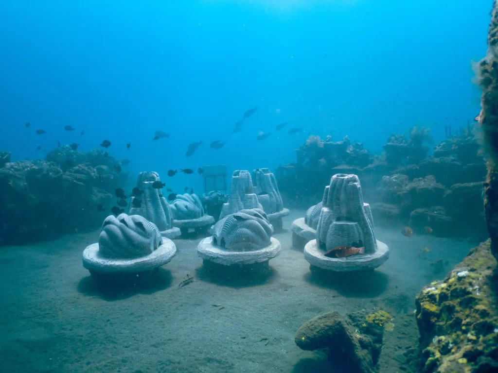 rest in reef funerales sostenibles futuro Zoepure