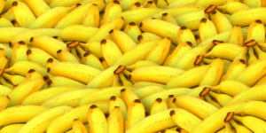 Sostenibilidad en la industria bananera en colombia Zoèpure