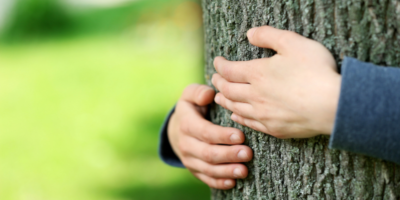 beneficios de Zoèpure transformar cenizas en arboles