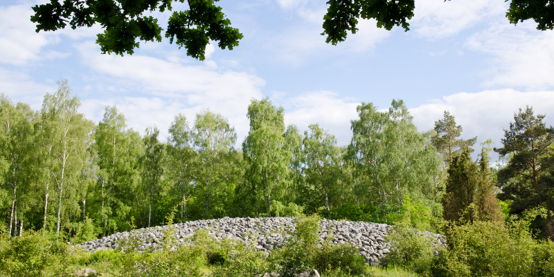 sostenibilidad funeraria informe PANASEF en Zoèpure