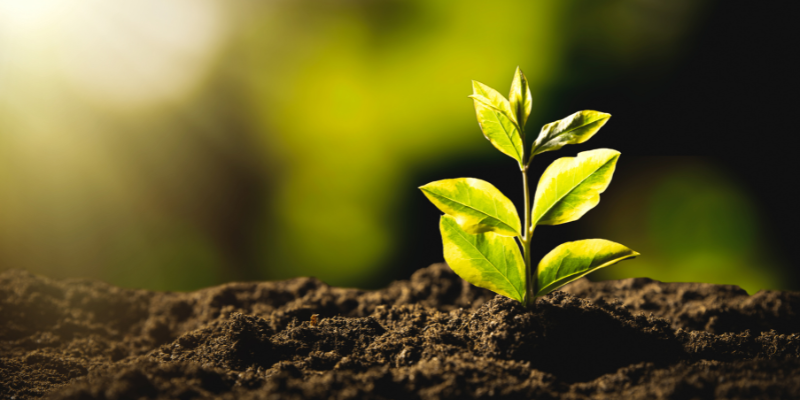 beneficios de los funerales sostenibles