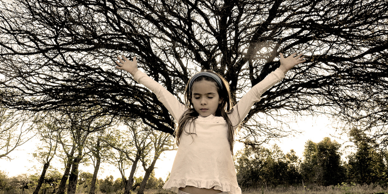 Convertirse en un árbol al morir con zoèpure