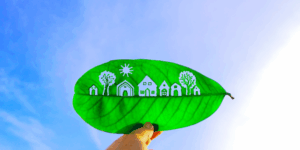 sostenibilidad funeraria informe PANASEF en Zoèpure