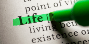 Plantar vida en el duelo Zoèpure