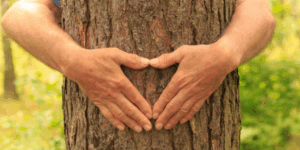 Convertirse en un árbol al morir con zoèpure