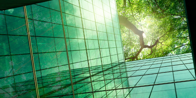 sostenibilidad funeraria informe PANASEF en Zoèpure
