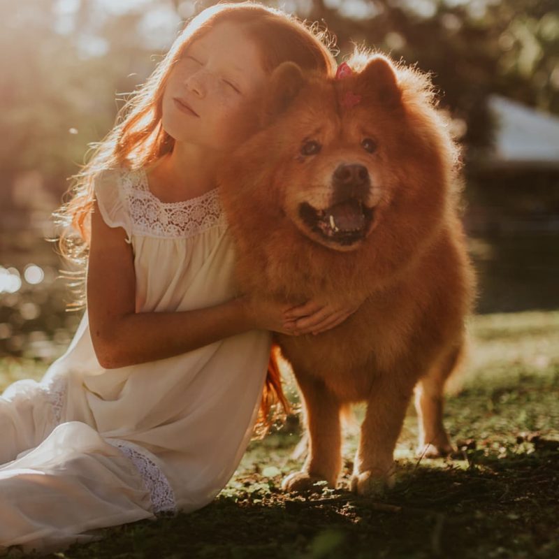 siembra un árbol con cenizas de tu mascota con Zoepure pets, unica formula cien por cien organiza que permite absorción de cenizas por parte de arboles y praderas